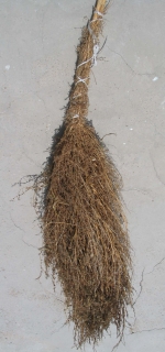 feathery cypress broom, tied with twine
