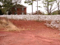 Bare red earth and rural scene