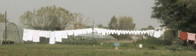 long washing line with white clothing and towels